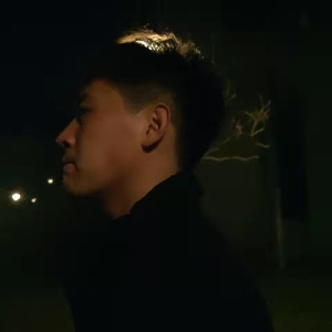 爱熬夜的酸菜鱼