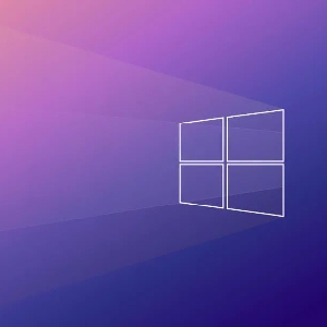 一只野生的Windows10