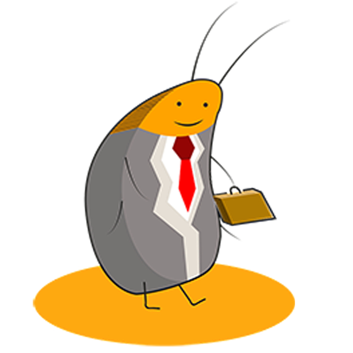 2只超大锹甲开箱战斗力很强一碰面就开打