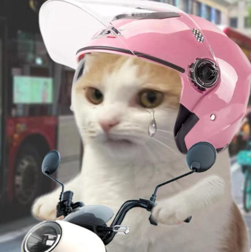 meme的爆米花