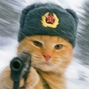 亡牌耄耋