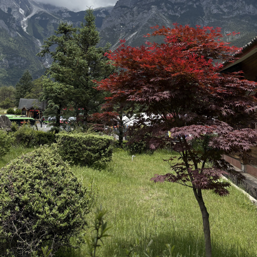 检测大师傅