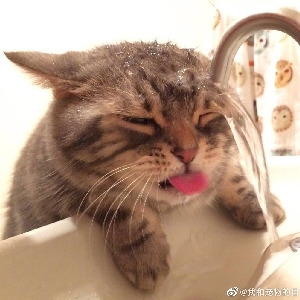 肇岁初十