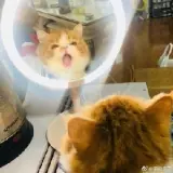 田中美奈实的专属时刻 哔哩哔哩 Bilibili