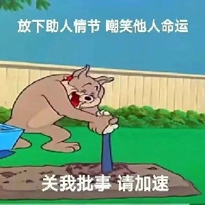 显示器支架推荐