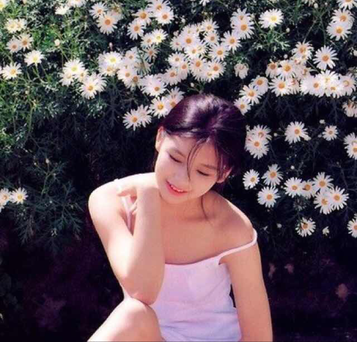 smilingstephanie私信 投稿:9 粉丝:25   关注 充电