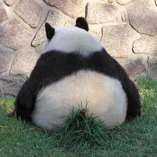 爽哥日志