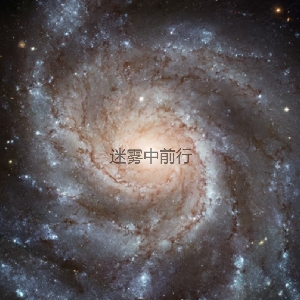 迷雾中前行