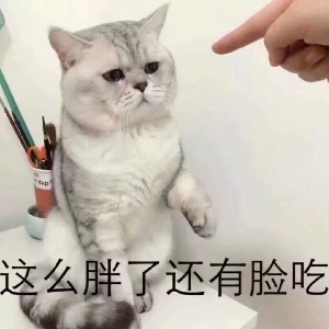 内有萌兽