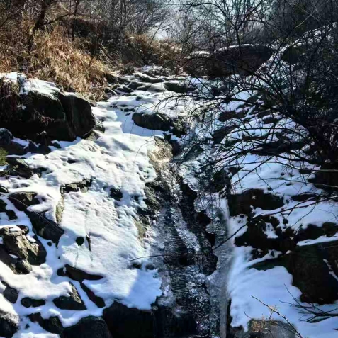 zhangll19