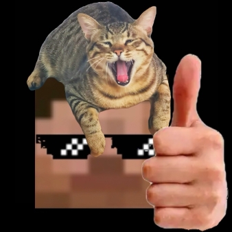 流星从来不等人