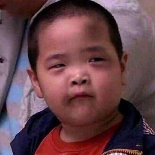 宾果数码