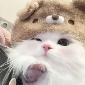 bili_39906046912