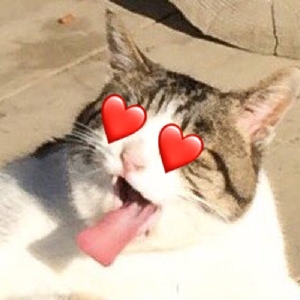⚠