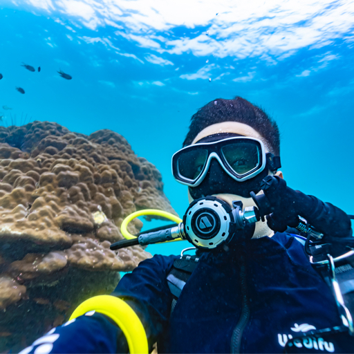 荒野大玩家-flynn