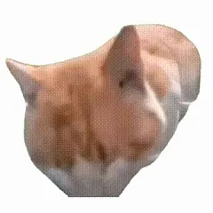 听泉1
