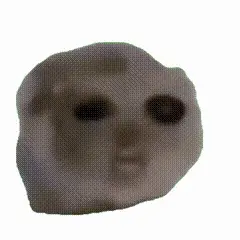 私人仓鼠
