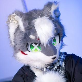 红毛山猫