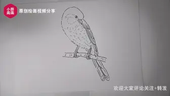 Tải video: 花鸟的白描，这么画就对了