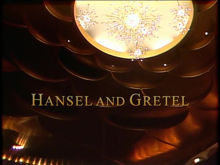 你看过儿童的歌剧么? 韩赛尔与格蕾特 Hansel and Gretel 《糖果屋》英文版中字哔哩哔哩bilibili